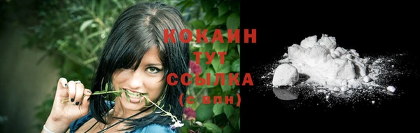 стафф Козловка