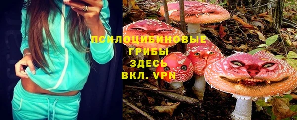 стафф Козловка