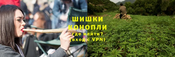 стафф Козловка