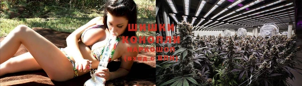 герыч Козельск