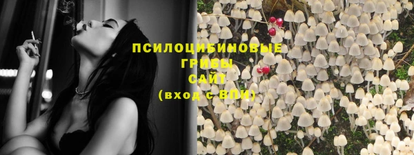 герыч Козельск