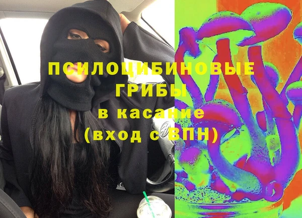 герыч Козельск