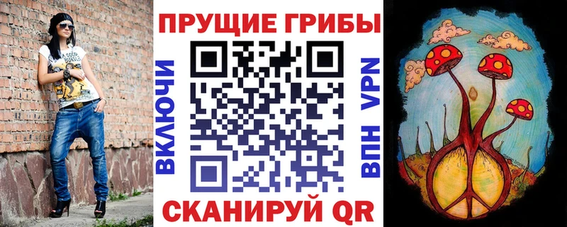 цены   Михайловка  Галлюциногенные грибы ЛСД 
