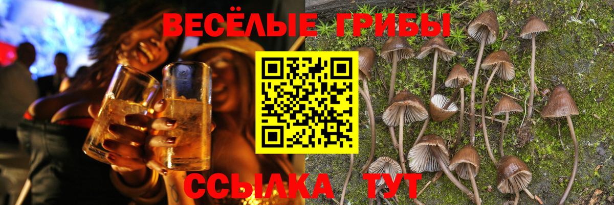 как найти закладки  Вход с VPN  Михайловка  Галлюциногенные грибы MAGIC MUSHROOMS 