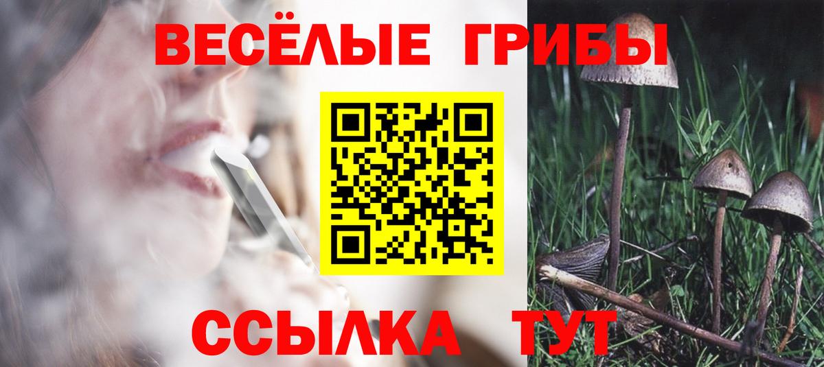 Галлюциногенные грибы Cubensis Михайловка